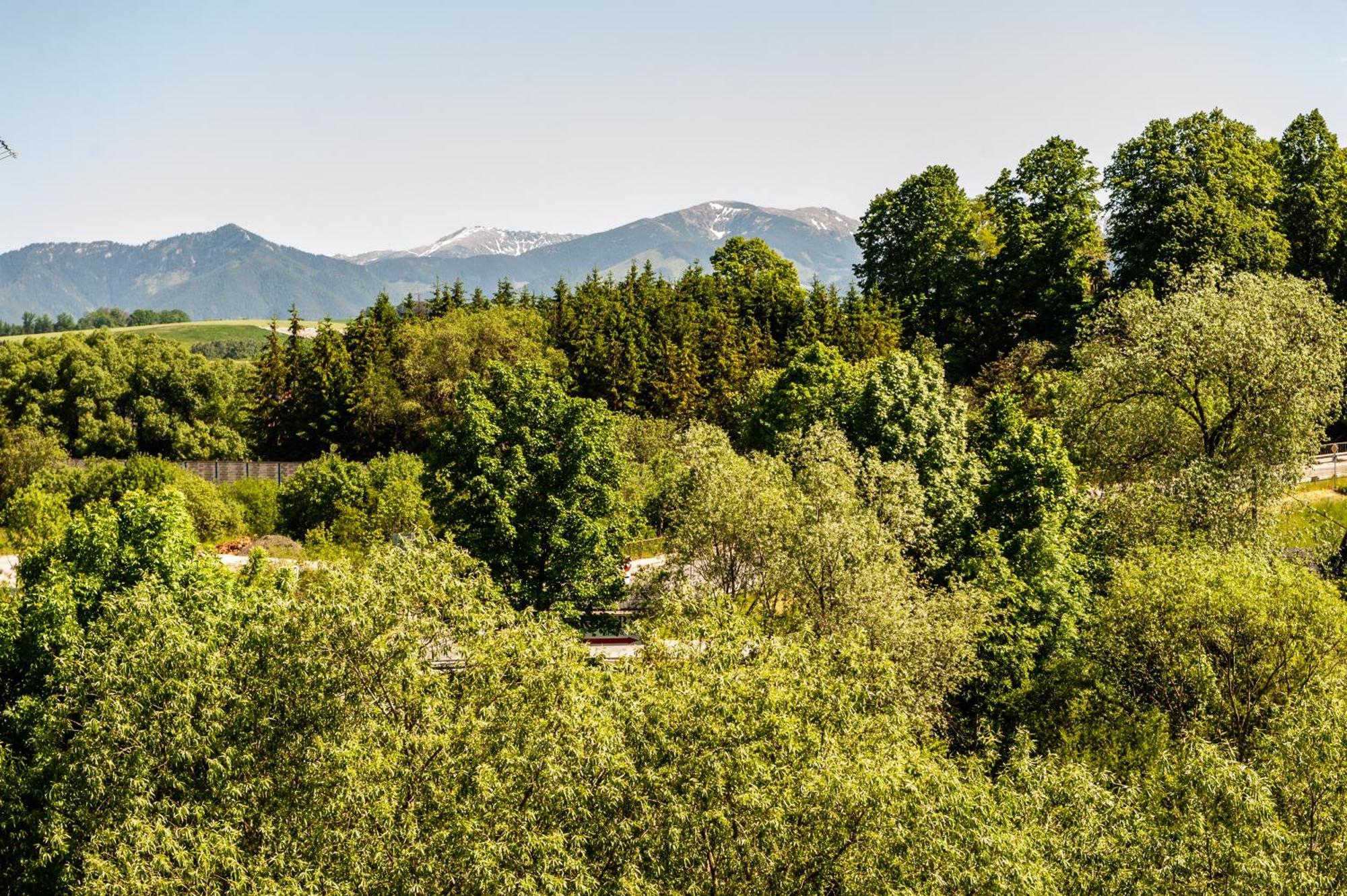 Apartmany Besen Bešeňová Exteriör bild